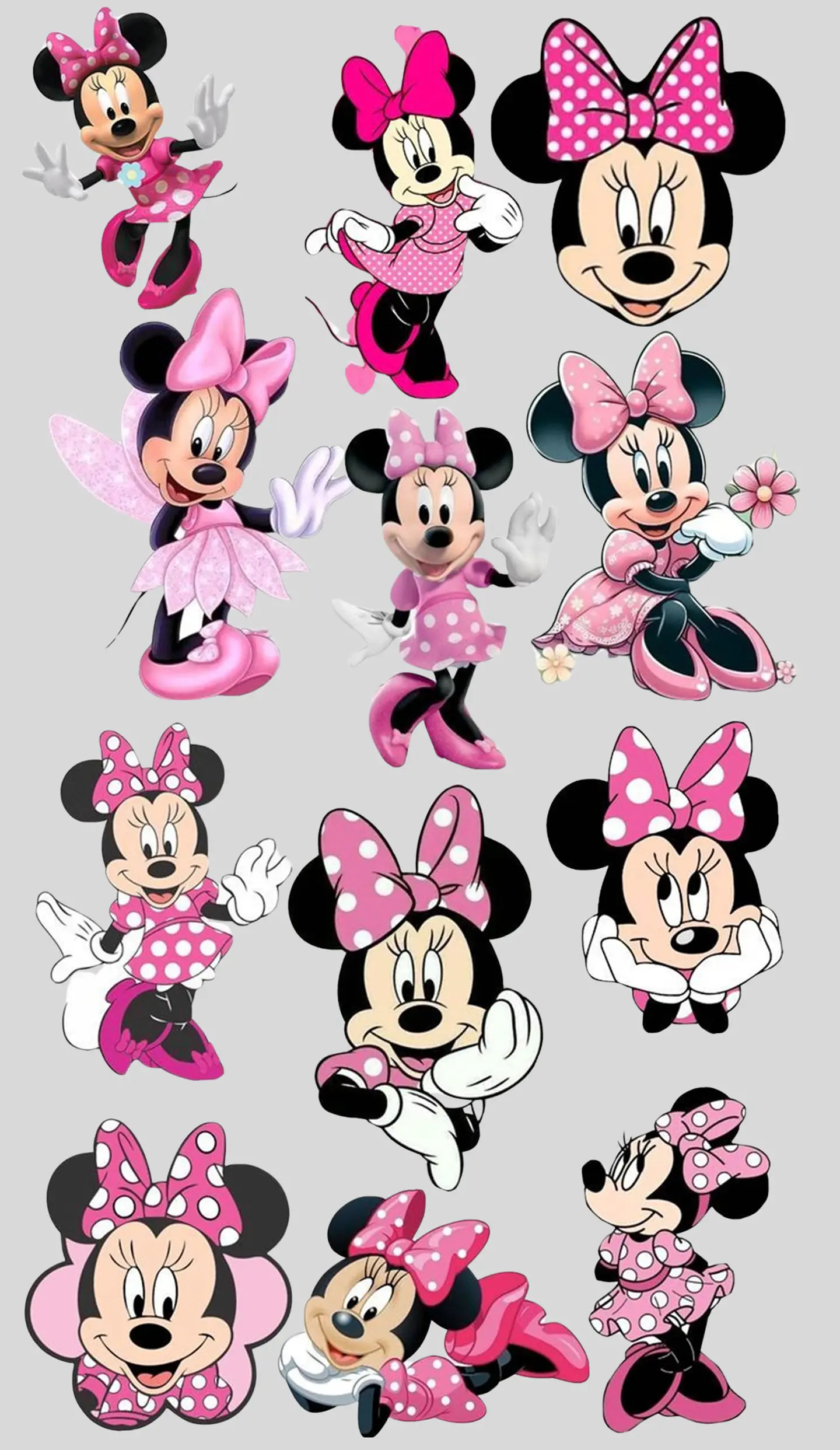 LIENZO MINNIE ROSA 1