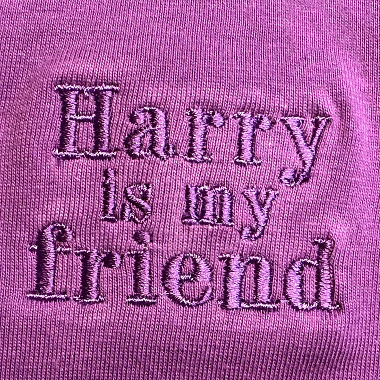 Polera Morada Harry is my friend  2