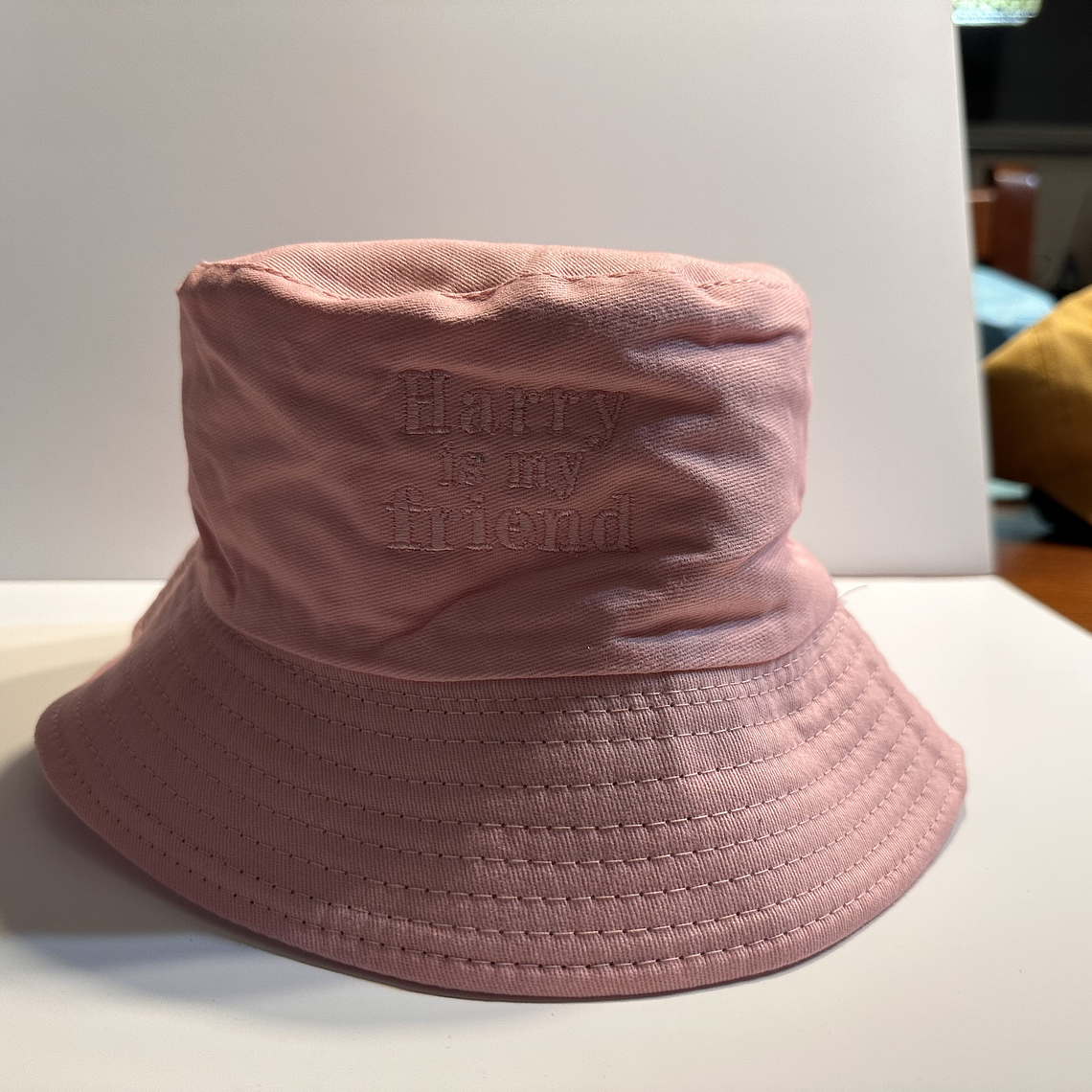 Bucket Harry is my Friend Rosa 1