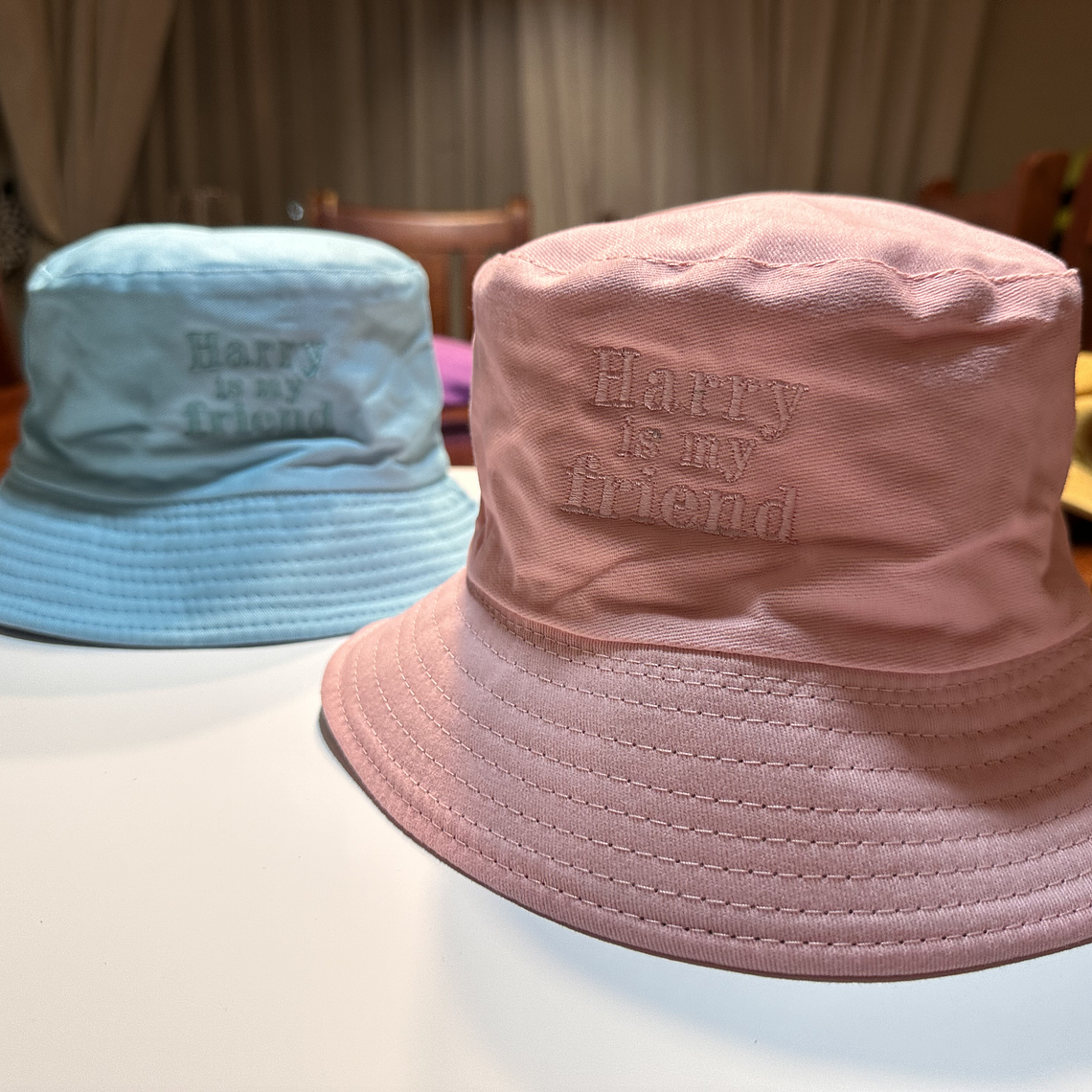 BUCKET CELESTE HARRY IS MY FRIEND 2