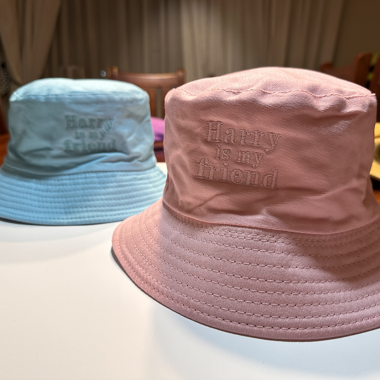 BUCKET CELESTE HARRY IS MY FRIEND 2