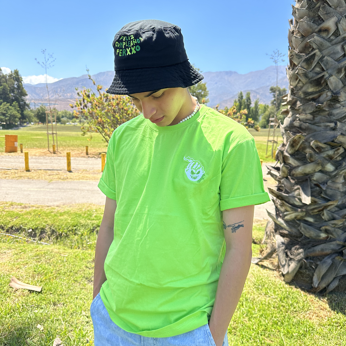 Polera FEID bordada verde claro  1