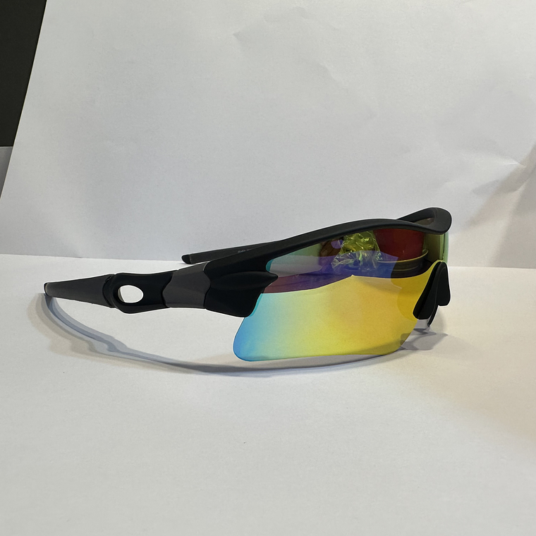 LENTES DE SOL TORNASOL  NEGRO 2