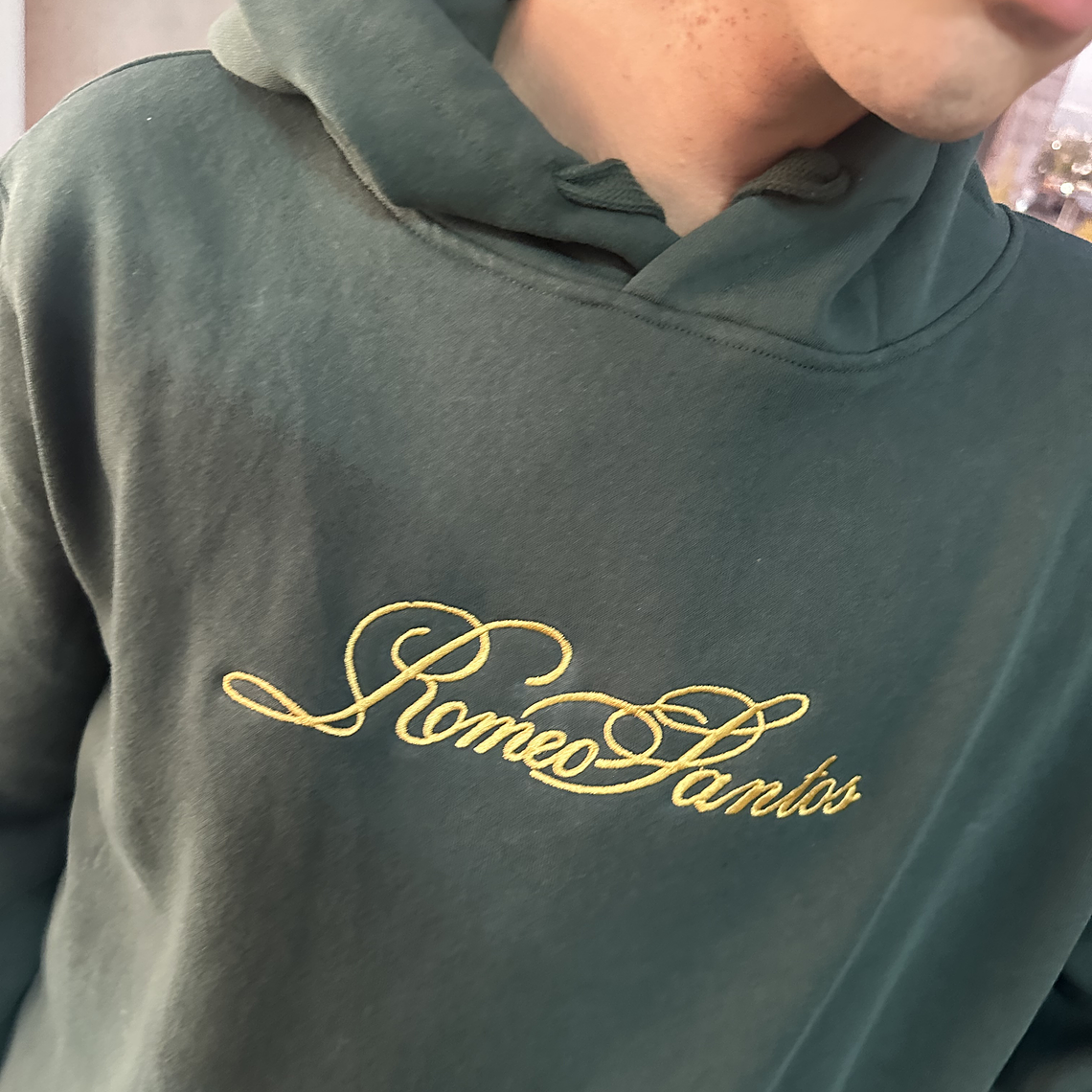 Poleron Bordado VERDE ROMEO SANTOS  2