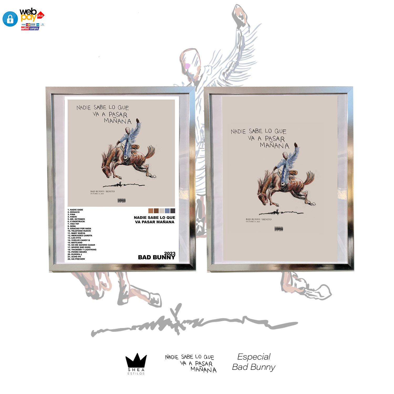 Bad Bunny Album VÃ©lo Cowboy Avis Nadie Sabe Site De VÃ©lo Cuadro - Main Image