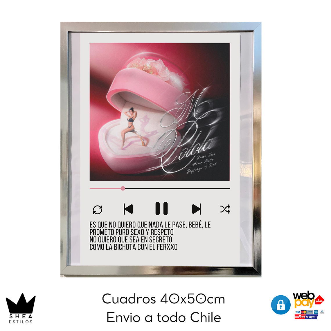 Cuadro Poster Mi Polola G.Mella 40x50cm 1