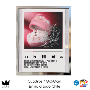 Cuadro Poster Mi Polola G.Mella 40x50cm