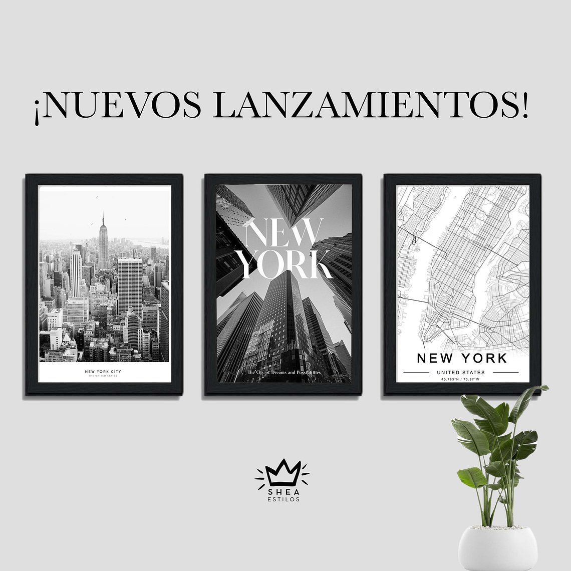 3 Cuadros New York  1