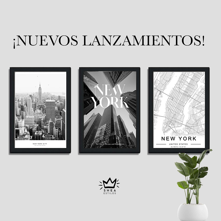 3 Cuadros New York  1