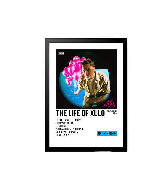 Póster + Cuadro Young Cister The Life of Xulo 