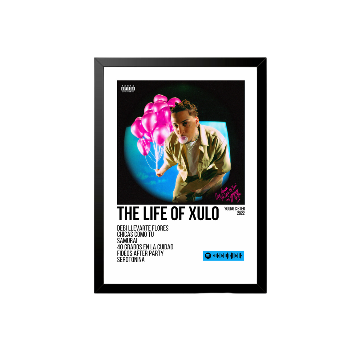 Póster + Cuadro Young Cister The Life of Xulo  1