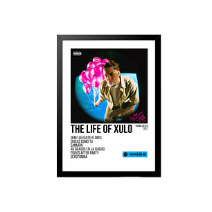 Póster + Cuadro Young Cister The Life of Xulo 