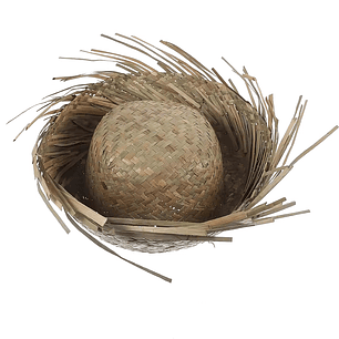 Sombrero Pava Bad Bunny 