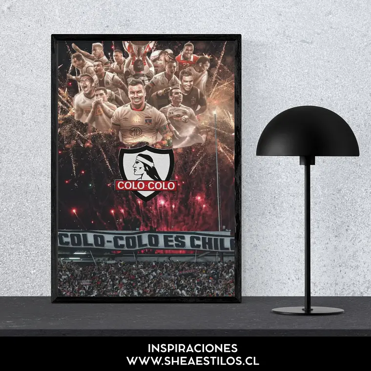 Cuadro Colo Colo  3