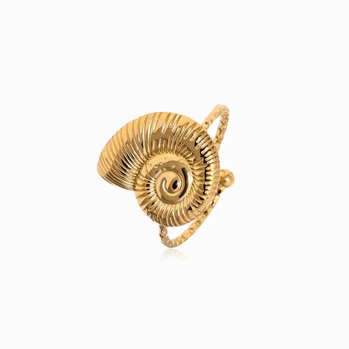 Bague Coquille Belle en Acier Inoxydable 1