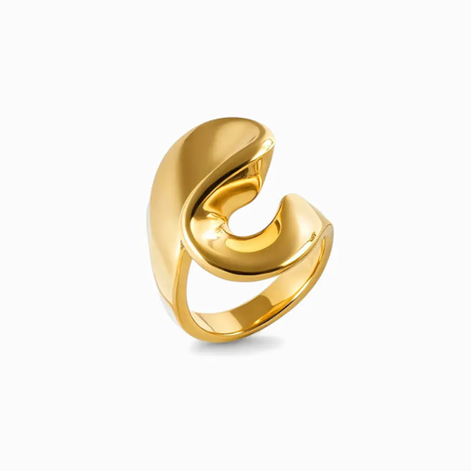 Bague Polie Affirmée – Acier Inoxydable 17.2mm 1