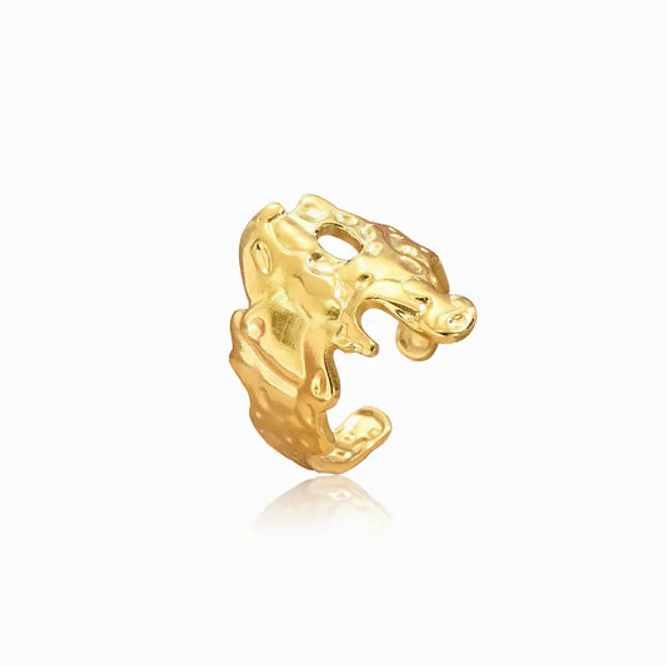Bague Simple Précieuse en Acier Inoxydable 1