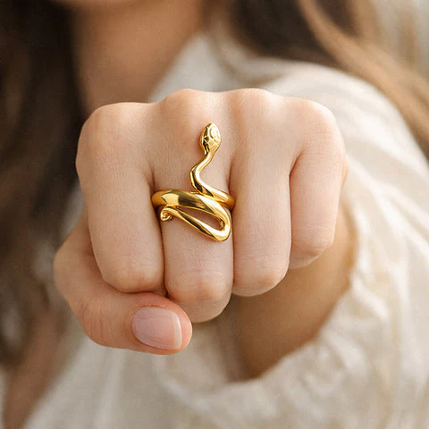 Bague Serpent Belle en Acier Inoxydable