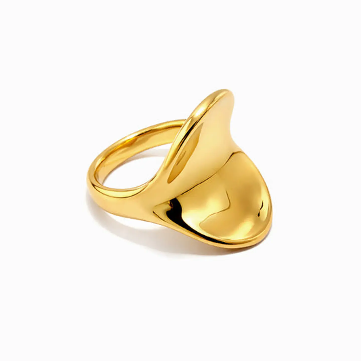 Bague Brillante en Acier Inoxydable – Affirmée 18mm 1