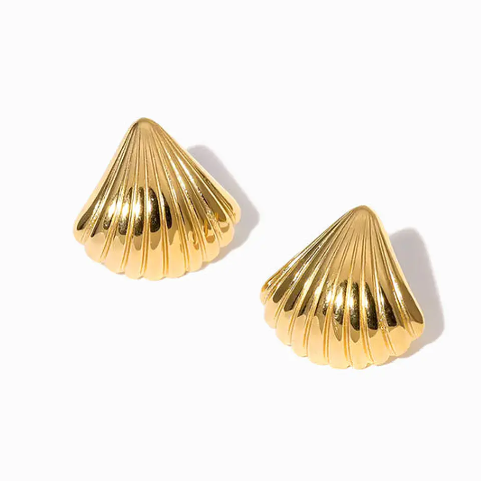 Boucles d'Oreilles Simple Royale en Acier 1