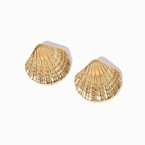 Boucles d'Oreilles Simple en Acier, Ravissante