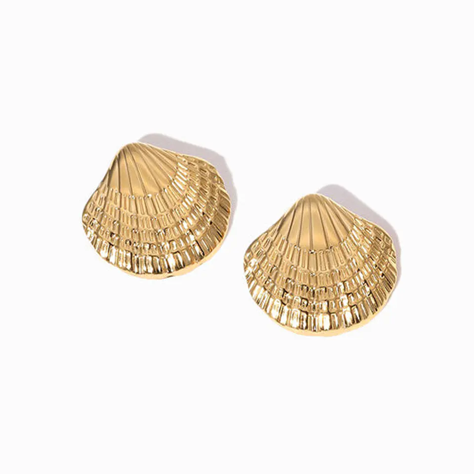 Boucles d'Oreilles Simple en Acier, Ravissante 1
