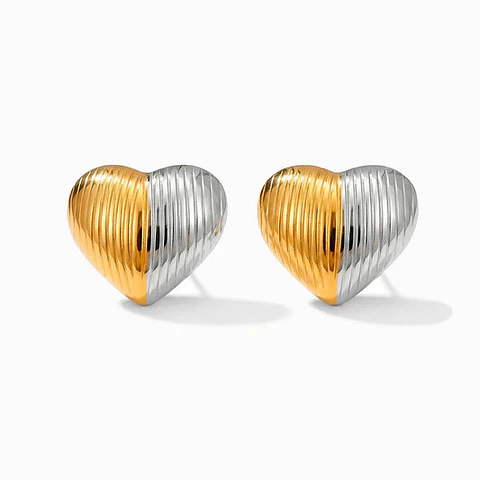 Boucles d'Oreilles Affirmée Géométrique Bicolore – Acier