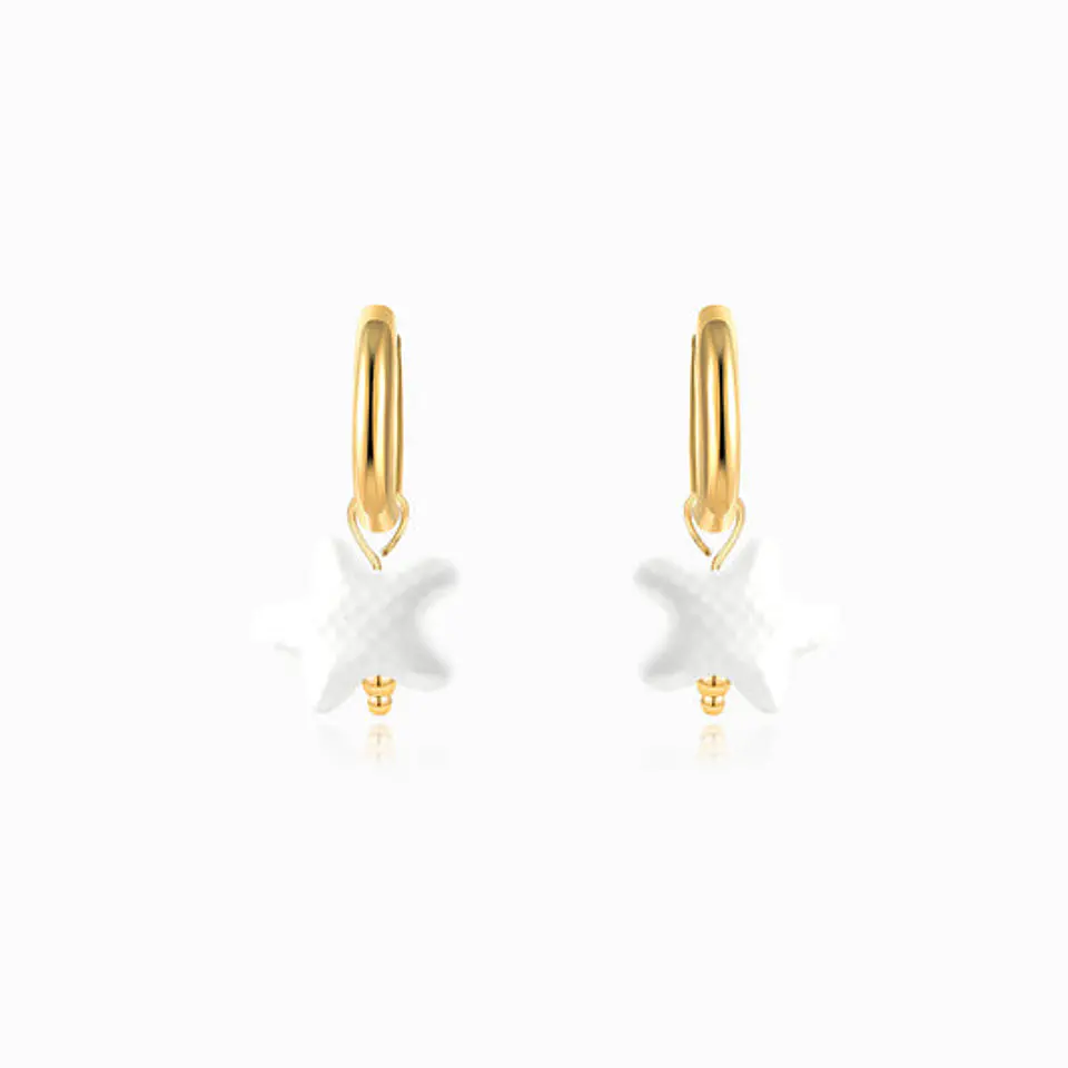 Boucles d'Oreilles Étoile de Mer Belle en Acier 1