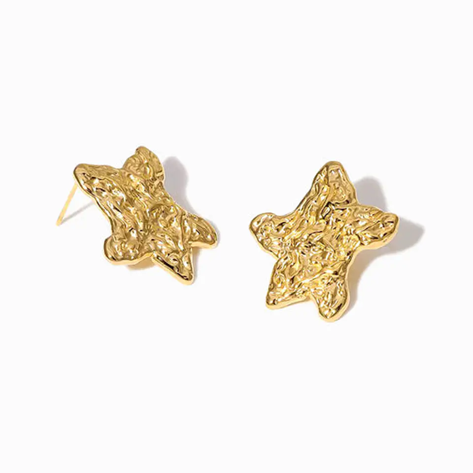 Boucles d'Oreilles Étoile Belle en Acier 1