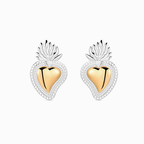 Boucles d'Oreilles Cœur Gothique Belle en Acier
