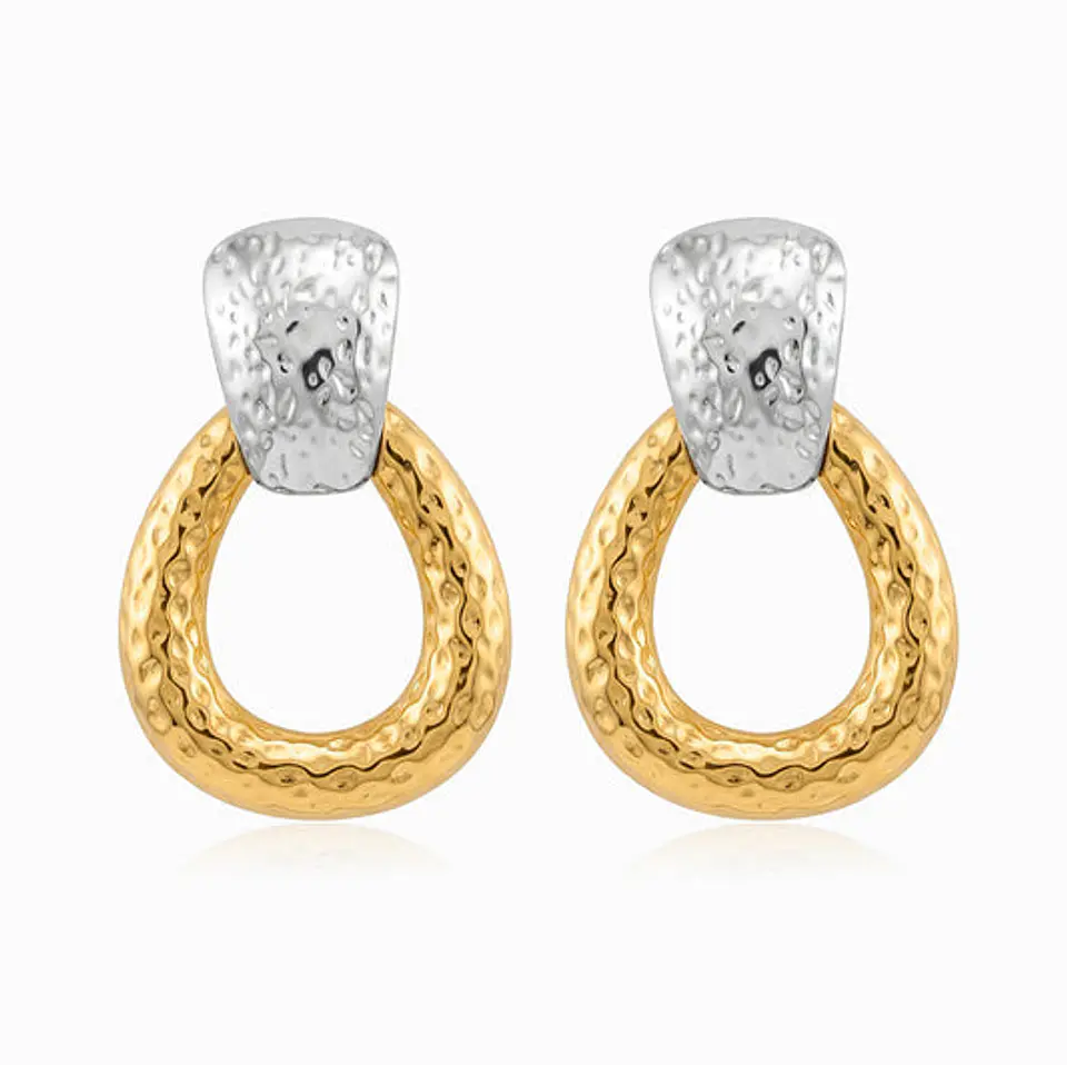 Boucles d'Oreilles Bicolore Belle en Acier 1