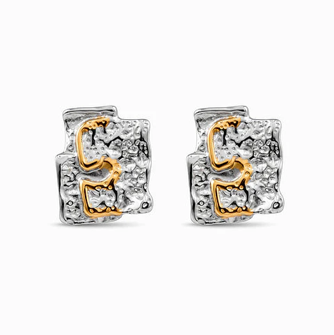 Boucles d'Oreilles Étincelante Géométrique Bicolore – Acier
