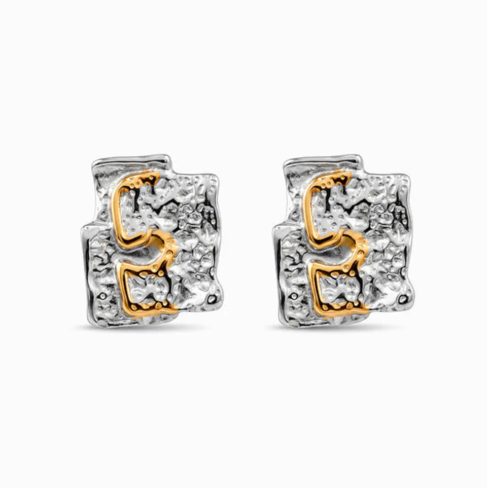Boucles d'Oreilles Étincelante Géométrique Bicolore – Acier 1