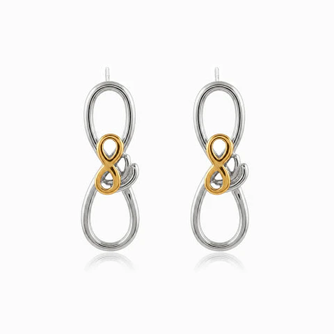 Boucles d'Oreilles Étincelante Bicolore – Acier