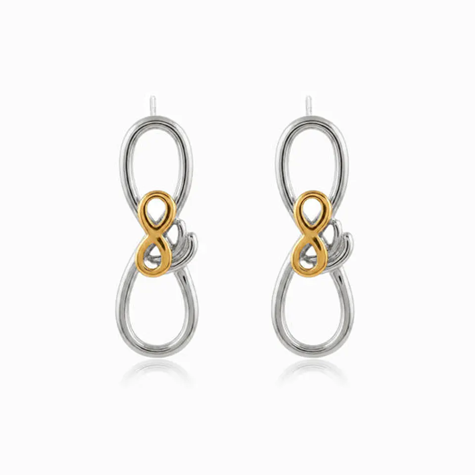 Boucles d'Oreilles Étincelante Bicolore – Acier 1