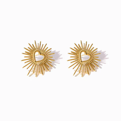 Boucles d'Oreilles Tendance en Acier, Élégante