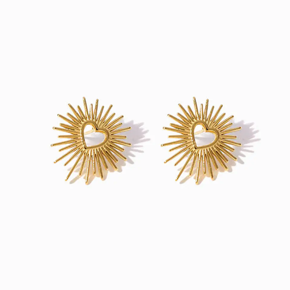 Boucles d'Oreilles Tendance en Acier, Élégante 1