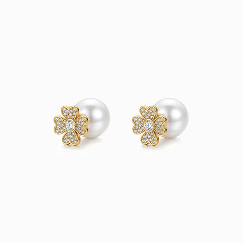 Boucles d'Oreilles Cœur en Acier, Polie