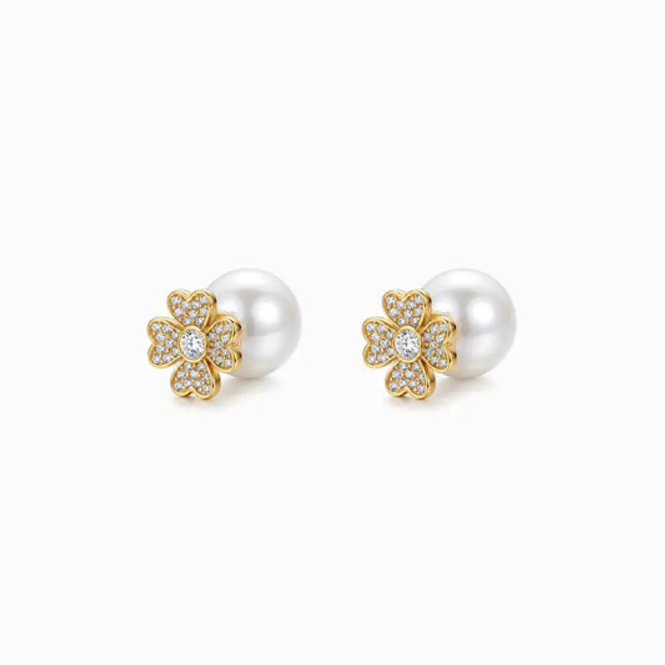 Boucles d'Oreilles Cœur en Acier, Polie 1