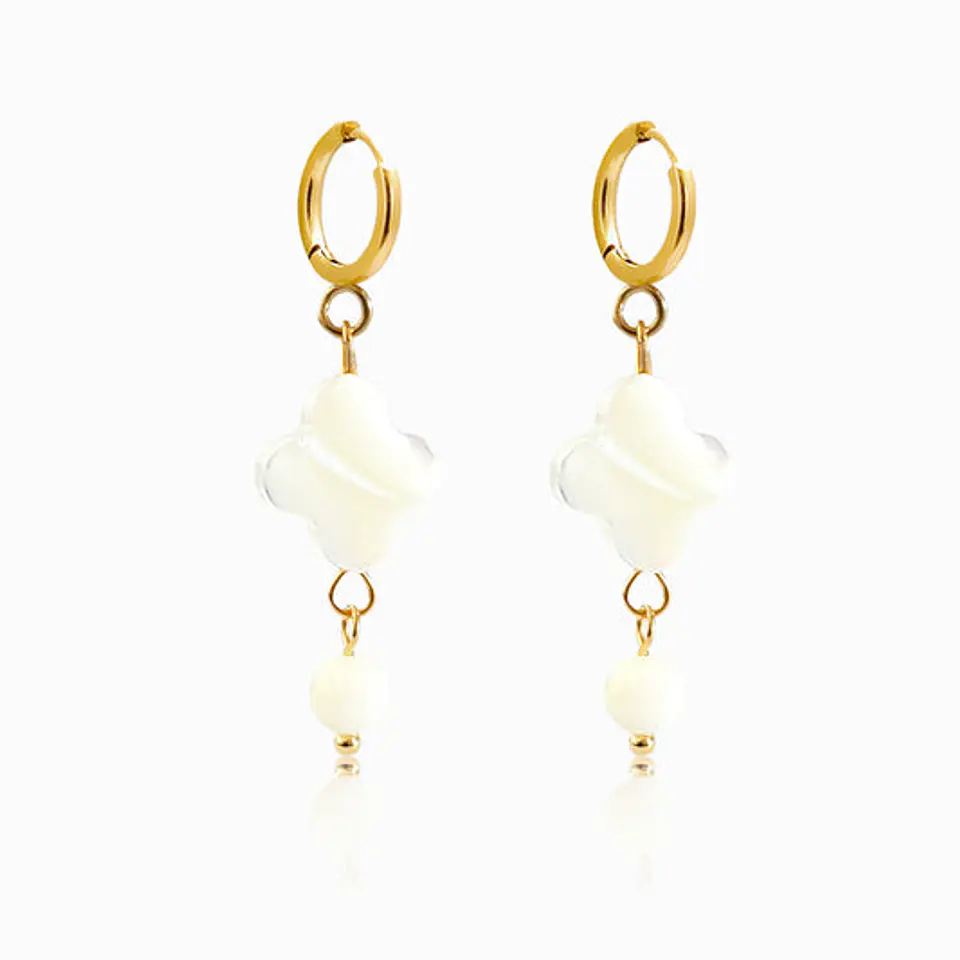 Boucles d'Oreilles Simple Ravissante en Acier 1