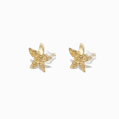 Boucles d'Oreilles Étoile de Mer Été Belle en Acier