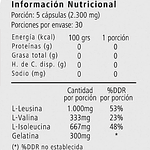 Bcaa / Aminoacidos Ramificados Shg Nutrition