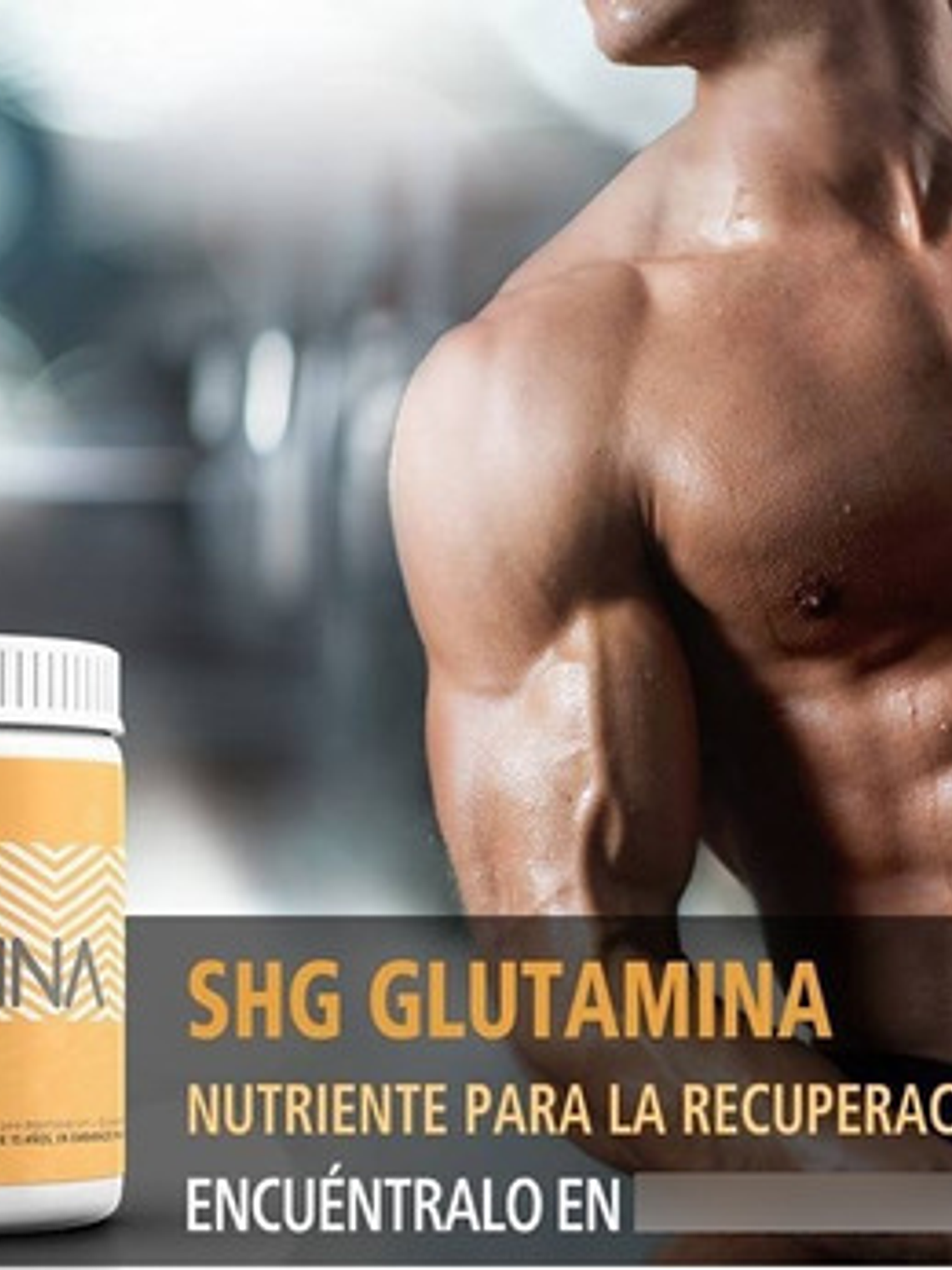 Glutamina 100% Pura 330gr  Shg Nutrition 4