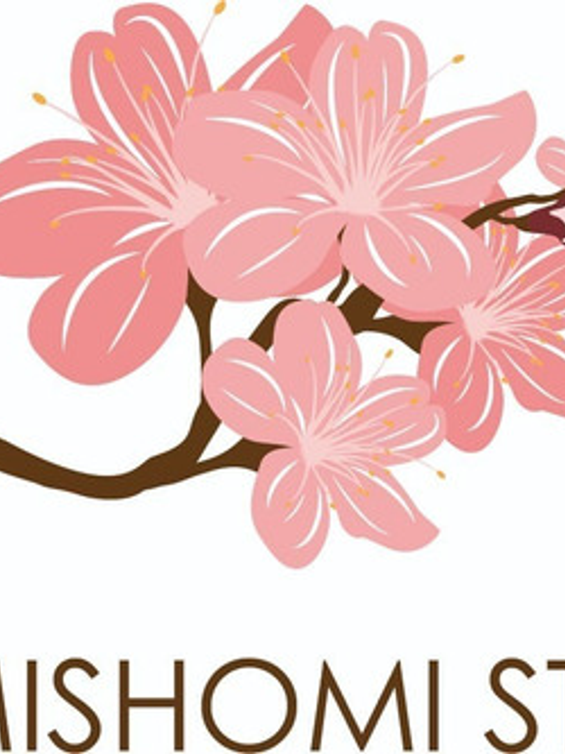 20 Ojos De Seguridad Negros 20mm Con Seguro/gumishomi Store  3