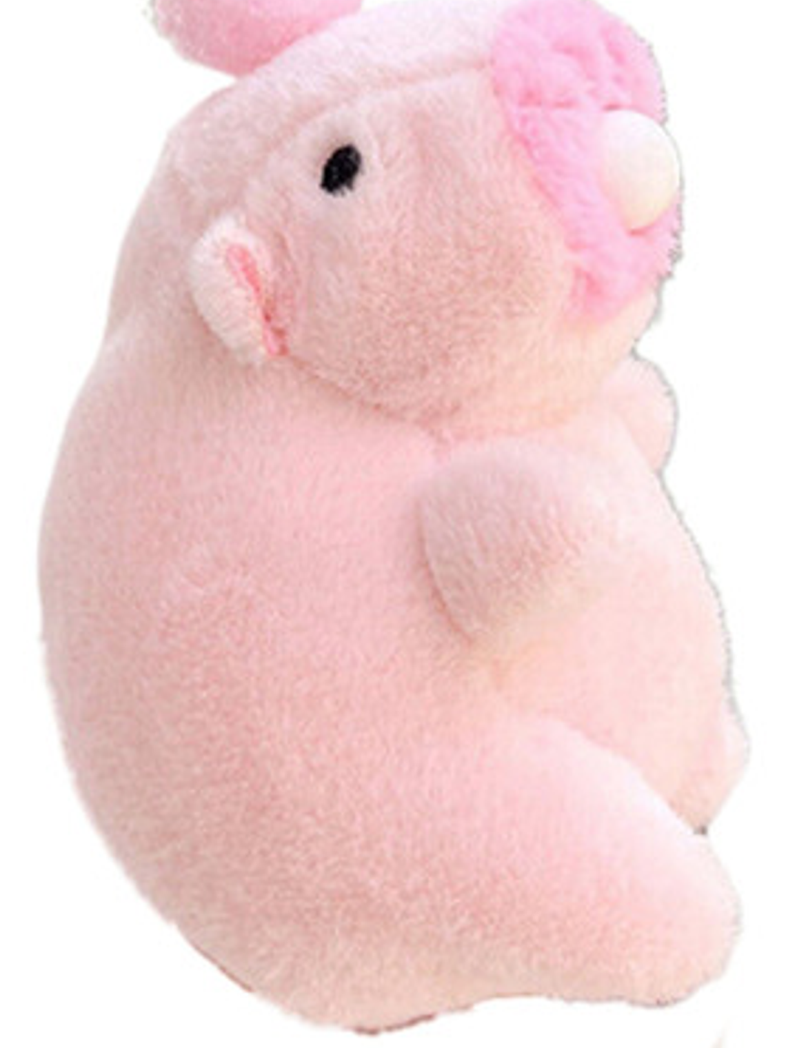 Capibara Peluche Llavero Burbuja Antiestres 4