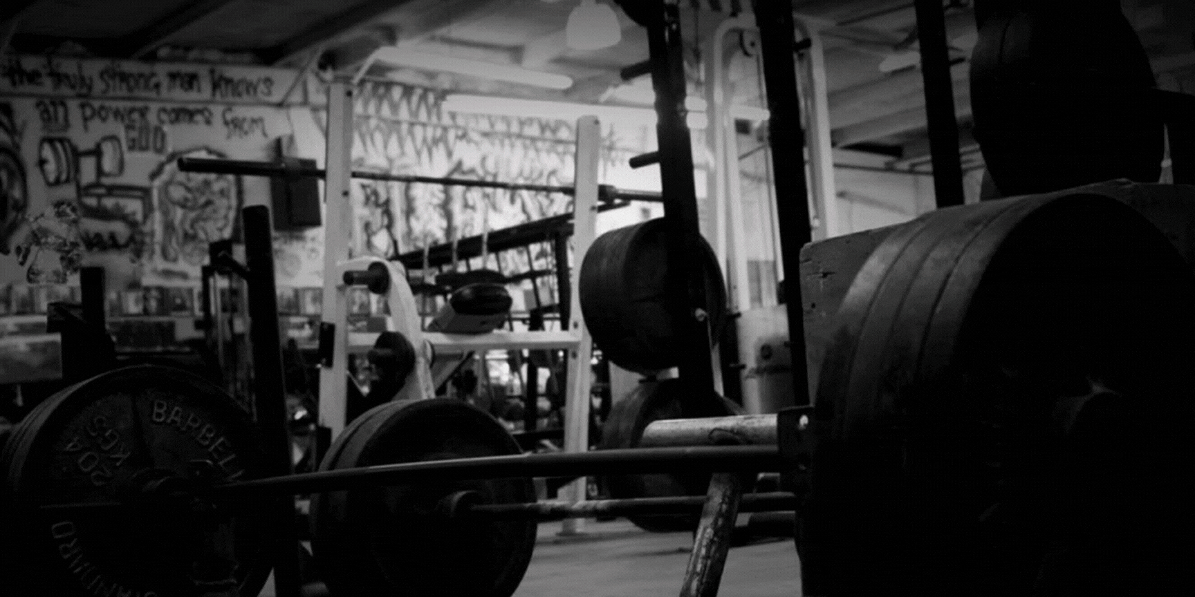 Asesoría Deportiva y Nutricional SHG COACH