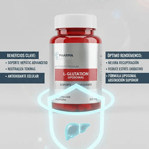 L - Glutation Liposomal 500mg 60 Cáp Protector Hepático Sin Sabor
