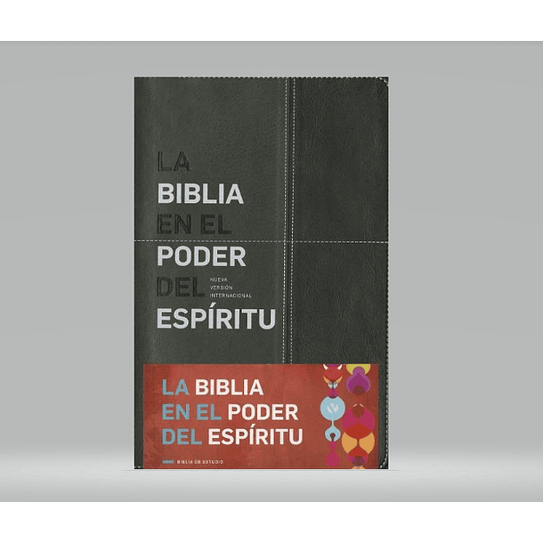 Biblia NVI Edición En el Poder del Espíritu - Negro/Gris 4