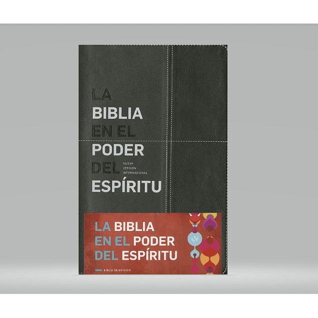 Biblia NVI Edición En el Poder del Espíritu - Negro/Gris