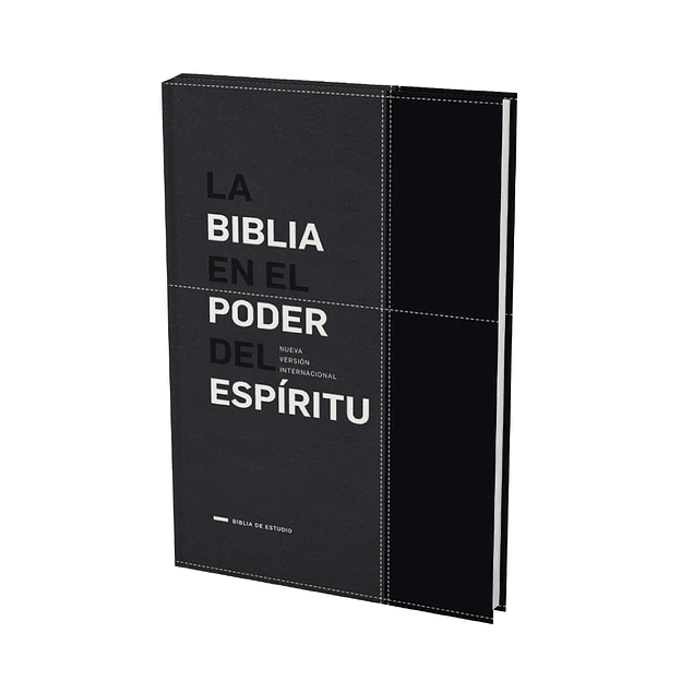 Biblia NVI Edición En el Poder del Espíritu - Negro/Gris